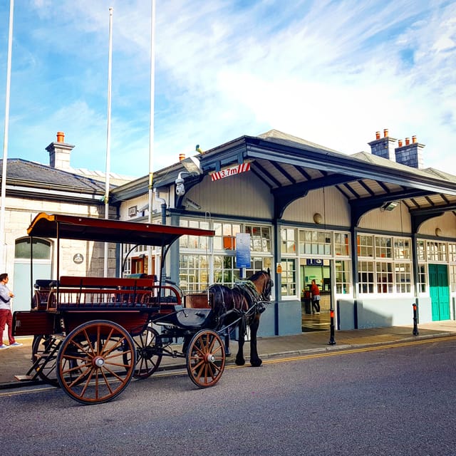 Killarney: Jaunting Car Tour with Afternoon Tea - A few practical tips so you enjoy it more