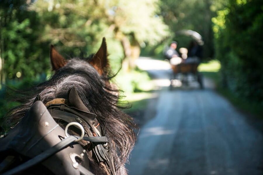 Killarney: Jaunting Car Tour with Afternoon Tea - Meeting at Great Southern Hotel: easy start, clear end