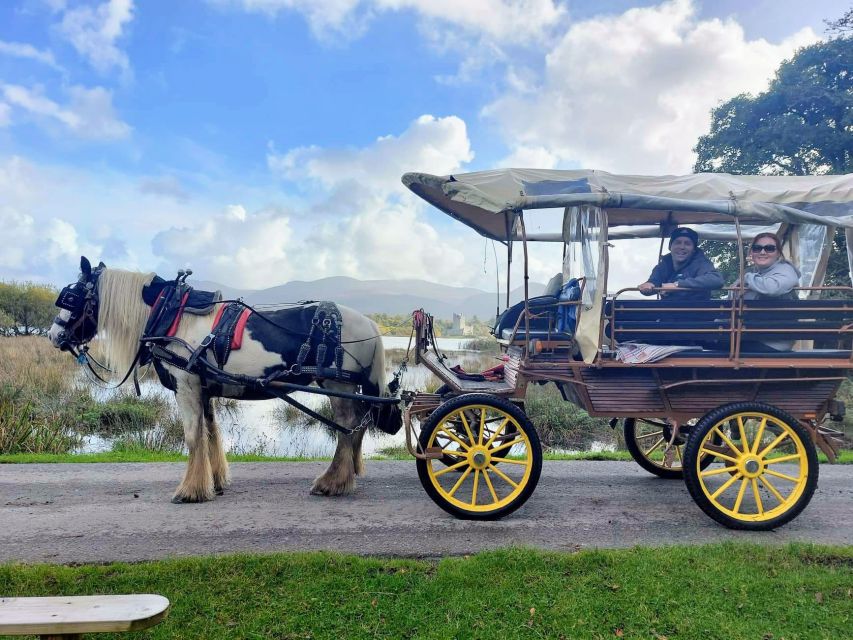 Killarney: Killarney National Park Private Tour - Ross Castle and Lough Leane: the photo moment that lives up to the hype