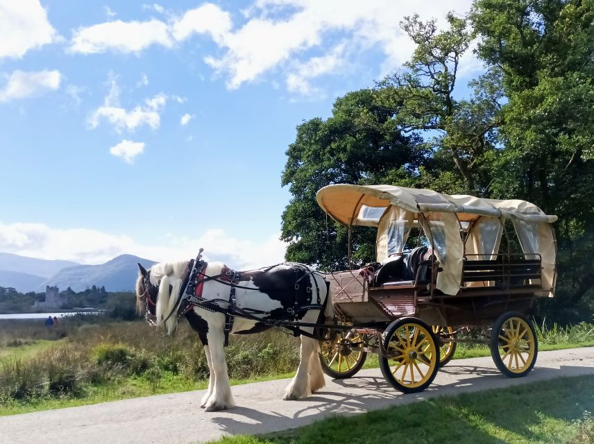 Killarney: Killarney National Park Private Tour - Killarney House and Gardens: short scenic drive, quick wildlife eyes