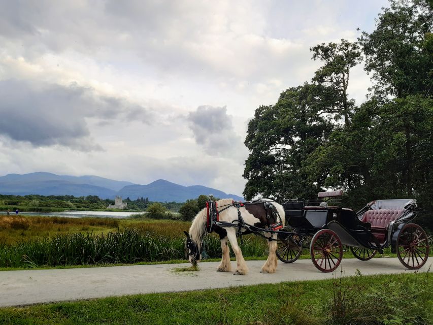 Killarney: Killarney National Park Private Tour - The jaunting car ride is the whole point