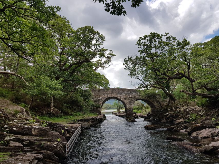 Killarney: Lakes of Killarney Boat Tour with Transfer - A Half-Day That Links Two Icons, Dunloe and Ross Castle