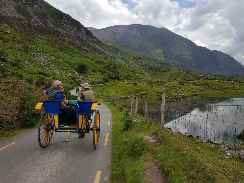 Killarney: Lakes of Killarney Boat Tour with Transfer - Ross Castle landing: the end of the cruise and the return ride