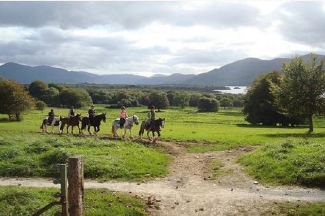 Killarney National Park Horseback Ride. Co Kerry. Guided. 1 hour. - Why a 1 hour guided ride is a great fit in Killarney National Park