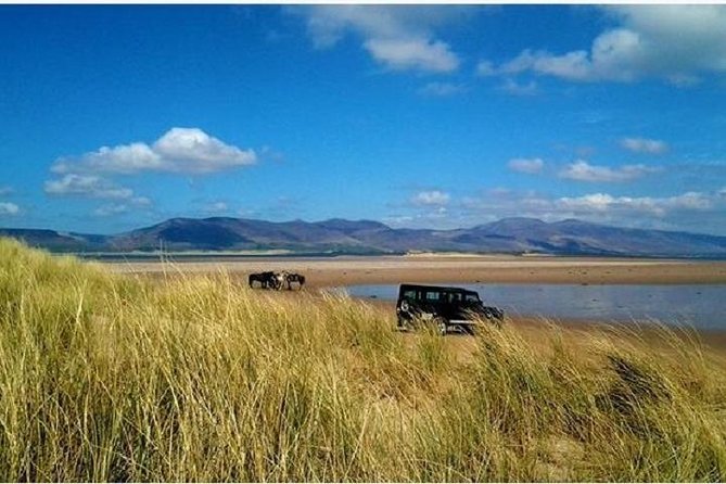 Killarney National Park Horseback Ride. Co Kerry. Guided. 1 hour. - The Killarney National Park ride itself: what you will likely see