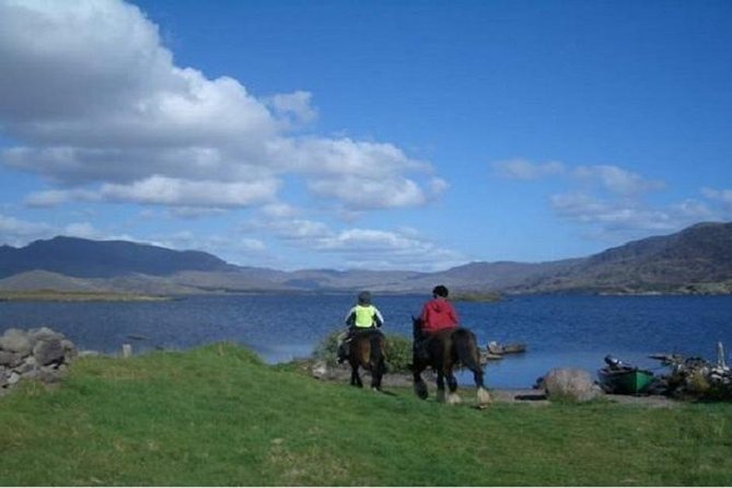 Killarney National Park Horseback Ride. Co Kerry. Guided. 1 hour. - Ballydowny meeting point: what to do before the horses head out