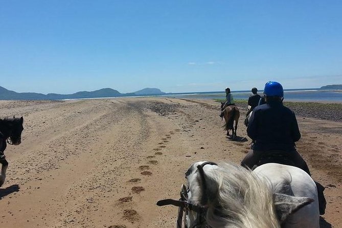 Killarney National Park Horseback Ride. Co Kerry. Guided. 2 hours. - Who this ride is perfect for