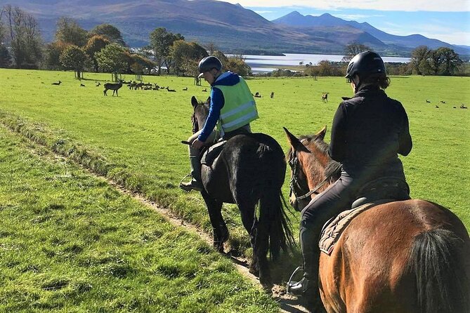 Killarney National Park Horseback Ride. Co Kerry. Guided. 3 hours. - The 3-hour route: what you’ll do once you’re in the park