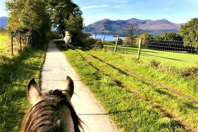 Killarney National Park Horseback Ride. Co Kerry. Guided. 3 hours. - Guides and horses: the difference between okay and great