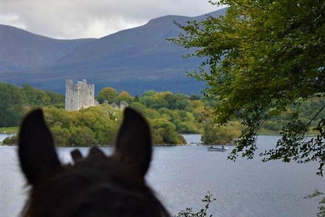 Killarney National Park Horseback Ride. Co Kerry. Guided. 3 hours. - Value and price: what $282.97 covers (and why it can be worth it)