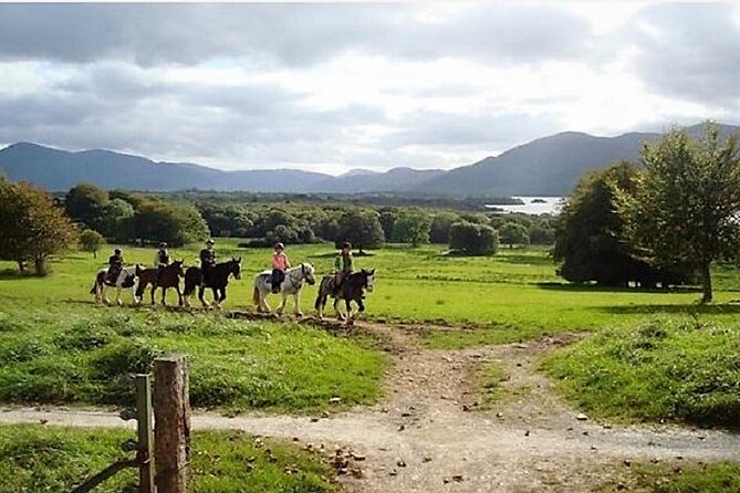 Killarney National Park Horseback Ride. Co Kerry. Guided. 3 hours. - Timing and weather: how your morning plan might shift