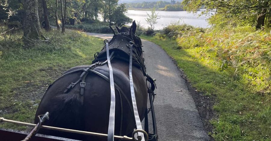 Killarney National Park Jaunting Car Tour - Quick Highlights You Can Expect
