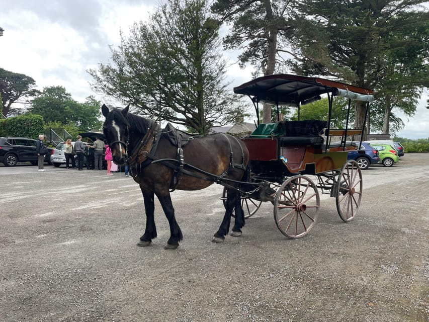 Killarney National Park Jaunting Car Tour - From Town Centre to St Mary’s Cathedral, Then Straight Into the Park