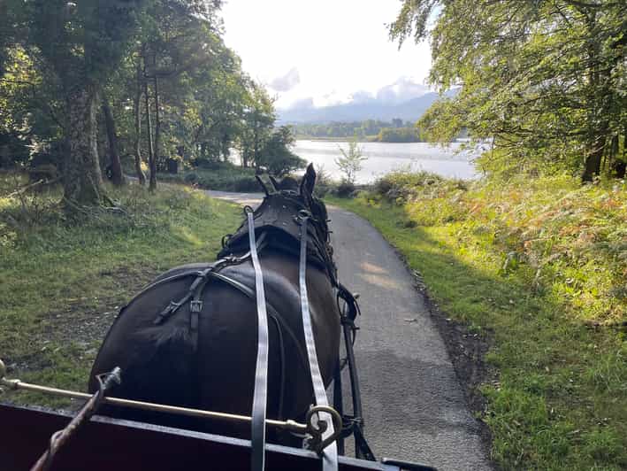 Killarney National Park Jaunting Car Tour - Ross Castle: Photo Stop With O’Donoghue Connections