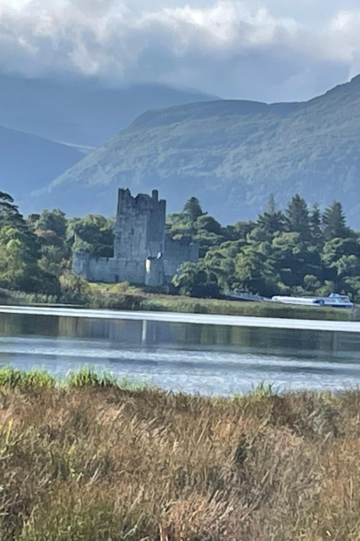 Killarney National Park Jaunting Car Tour - Who This Jaunting Car Tour Fits Best