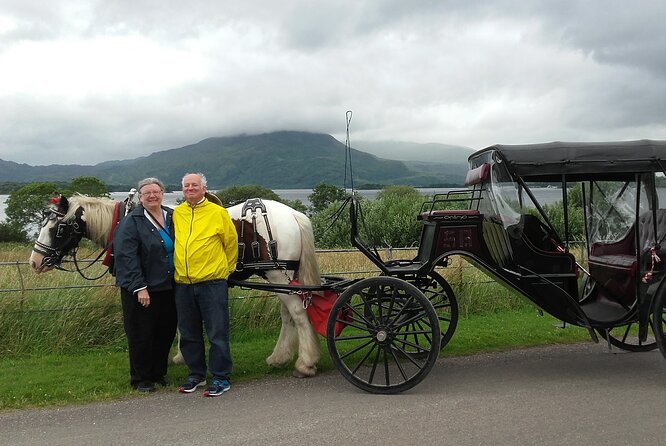 Killarney National Park Tour - Arriving at Deenagh Lodge: your meeting point cheat sheet