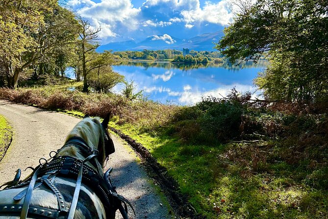 Killarney National Park Tour - Ross Castle on Lough Leane: a stop that anchors the whole tour
