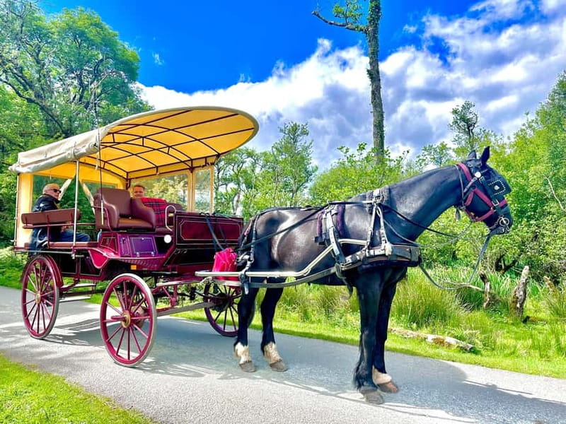 Killarney National Park Tour - Pass-by highlights: McGillicuddy Reeks and Killarney House and Gardens