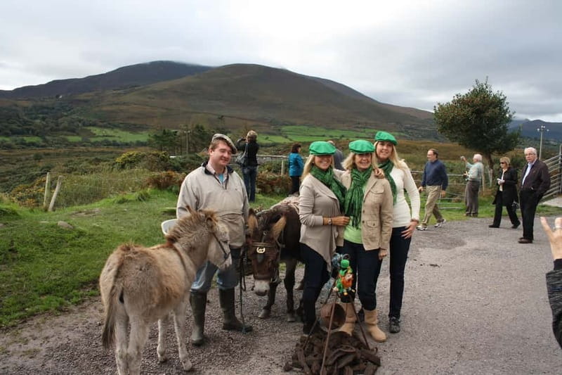 Killarney: Ring of Kerry Bus Tour - Killorglin to Glenbeigh: that first stretch of sea and beach views