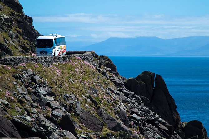 Killarney Super Saver: Dingle and Slea Head Day Trip plus Ring of Kerry and Killarney Lakes Day Trip - Key highlights you will actually feel on the road