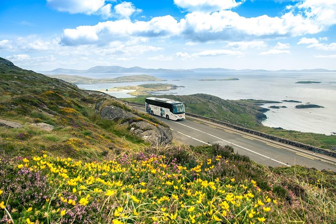 Killarney Super Saver: Dingle and Slea Head Day Trip plus Ring of Kerry and Killarney Lakes Day Trip - Day 2: Dingle and Slea Head, with time to explore Dingle