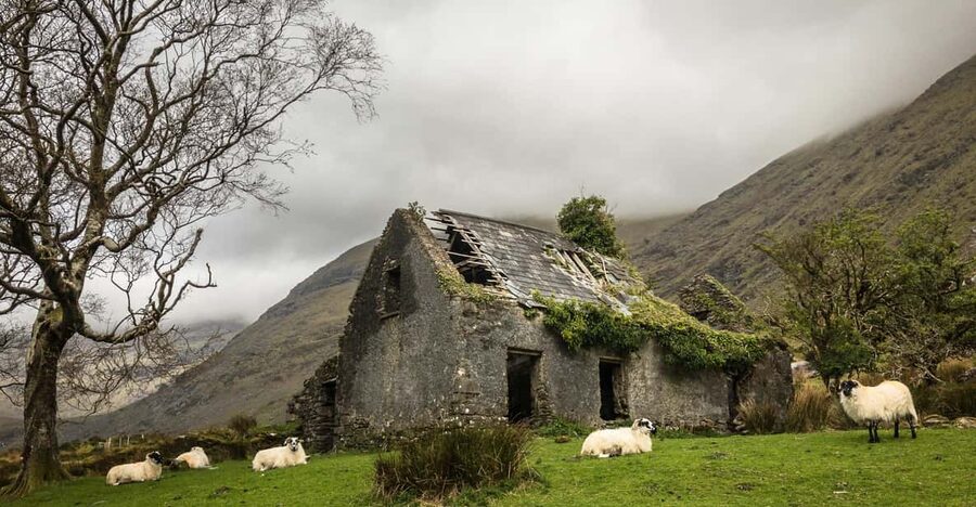 Killarney: The Ring of the Reeks - Backroads Rural Tour - Who this tour fits best