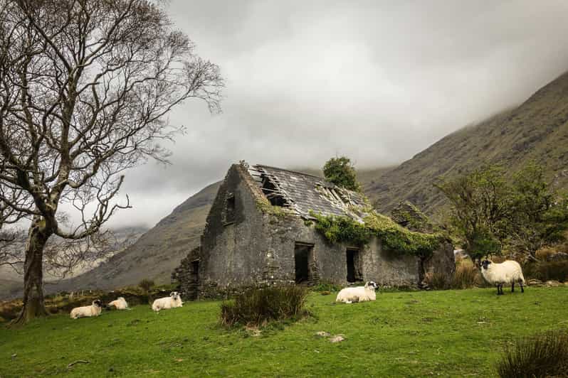Killarney: The Ring of the Reeks - Backroads Rural Tour - Why this Ring of the Reeks day works for photographers