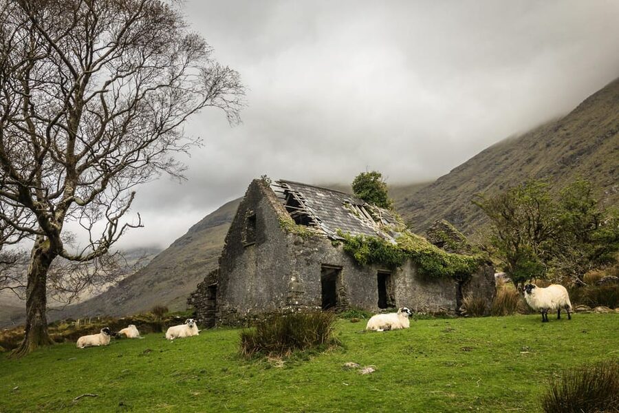 Killarney: The Ring of the Reeks - Backroads Rural Tour - Morning route from Killarney: Glencar, Bridia Valley, and the Ballaghbeama Gap