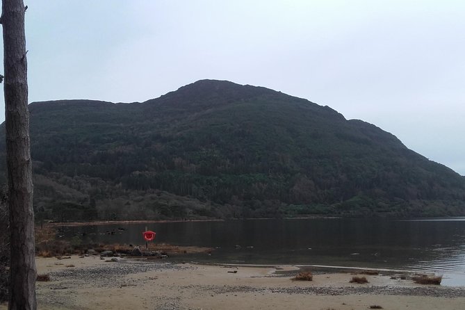 Killarney Valley & National Park - Private Tour - Ladies View: the photo-time payoff with a café