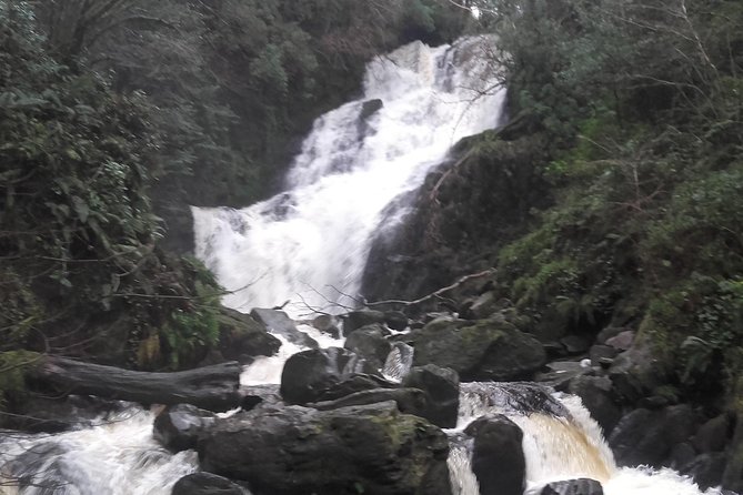 Killarney Valley & National Park - Private Tour - Torc Waterfall: 100 feet down to riverbed thunder