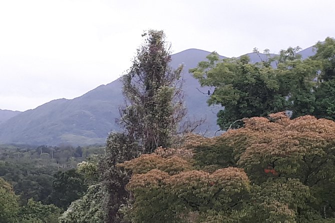 Killarney Valley & National Park - Private Tour - Why the guide makes this tour feel worth the price