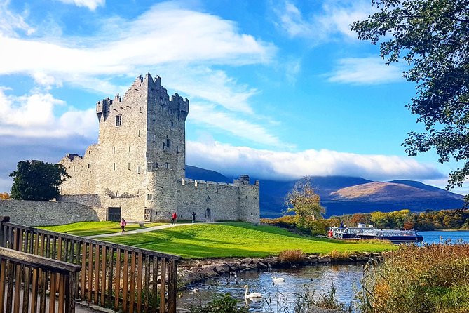 Lakes of Killarney Cruise - Wildlife you might spot, and how to look for it
