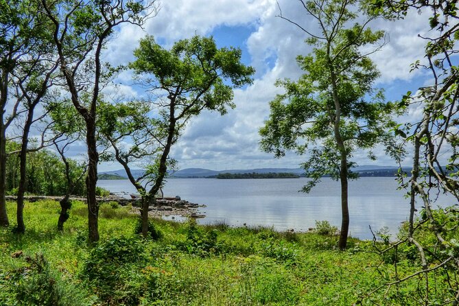 Lough Corrib History and Scenic Lake Cruise from Lisloughrey Pier Tour - Key things I think you should know before you go