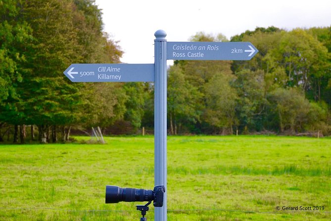 Luxury Photography Day Tour on Dingle Peninsula - Fully Guided and Chauffeured - Why Dingle Peninsula feels made for photography