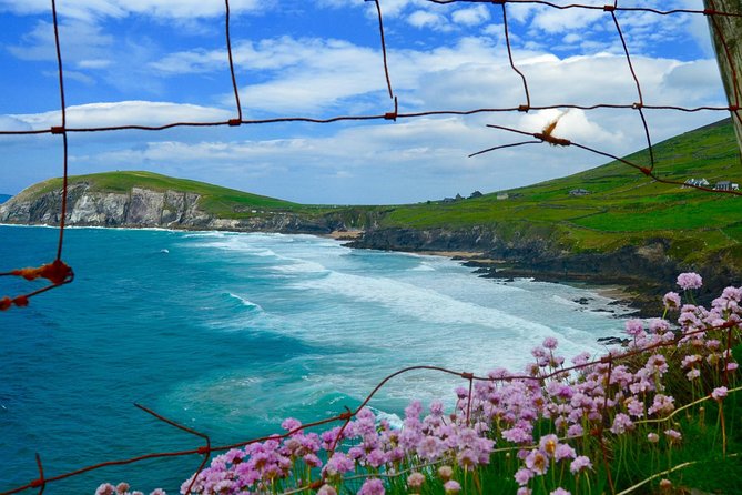 Luxury Photography Day Tour on Dingle Peninsula - Fully Guided and Chauffeured - The luxury mini van, and why smaller feels better on this coast