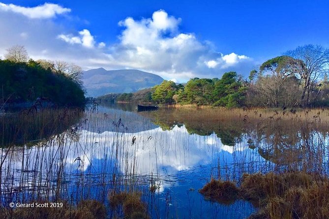 Luxury Photography Day Tour on Dingle Peninsula - Fully Guided and Chauffeured - Dingle Peninsula drive: where your guide turns interests into photo stops