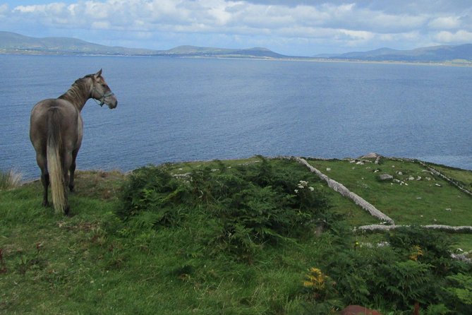 Luxury Photography Day Tour on Ring of Kerry and Skellig Ring - Fully Guided and Chauffeured - The Wild Atlantic Way effect: more than a name on a sign