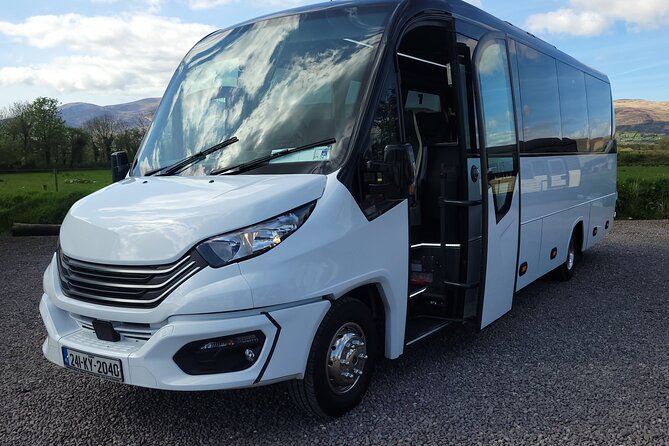 Luxury Private Day Tour The Ring Of Kerry With Local Driver guide - Killorglin through Glenbeigh: Puck Fair statue and coastal pauses