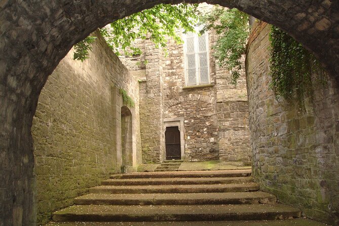 Medieval Dublin Walking Private Guided Tour - What the 2.5 Hours Feels Like in Real Time
