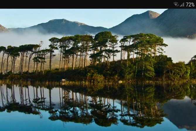 Minibus hire galway Ireland - The Burren: free nature time with stone-wall stories