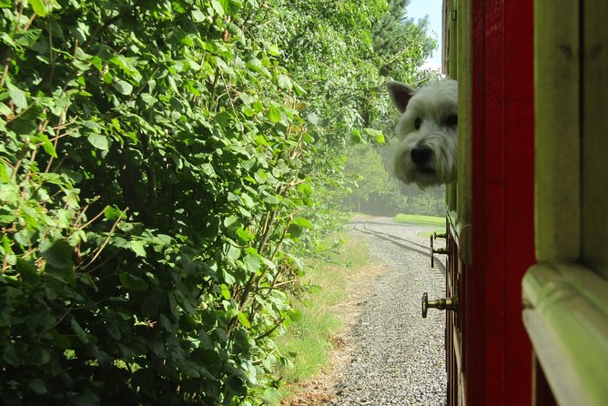 Oakfield Park Day Pass and Train Ride - Oakfield Park in 3 hours, the big idea