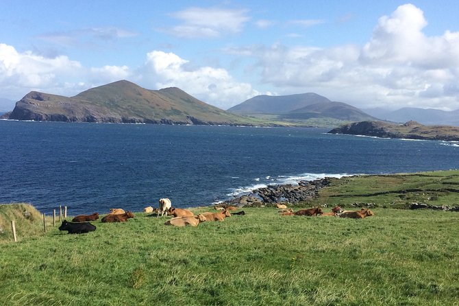 Off the beaten Path Private Tour of Ring of Kerry - Portmagee and The Moorings: your built-in meal break