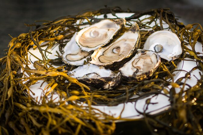 Oyster Farm and Tasting Experience - The views are part of the meal, not a bonus