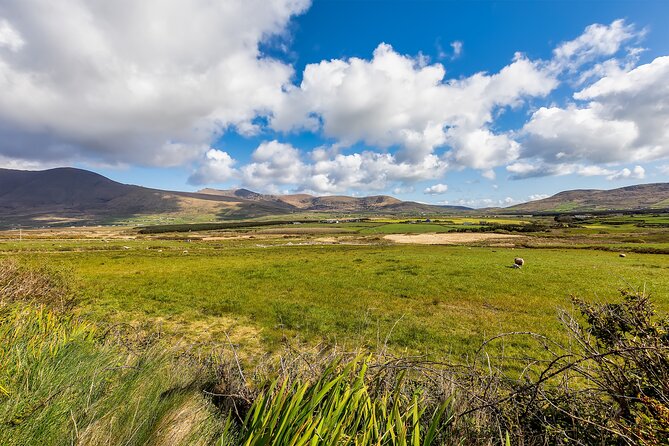 Personalized Full-Day Dingle Peninsula and Slea Head Drive Tour - Inch Beach and the Dingle Bay sweep: wind, dunes, and photo time