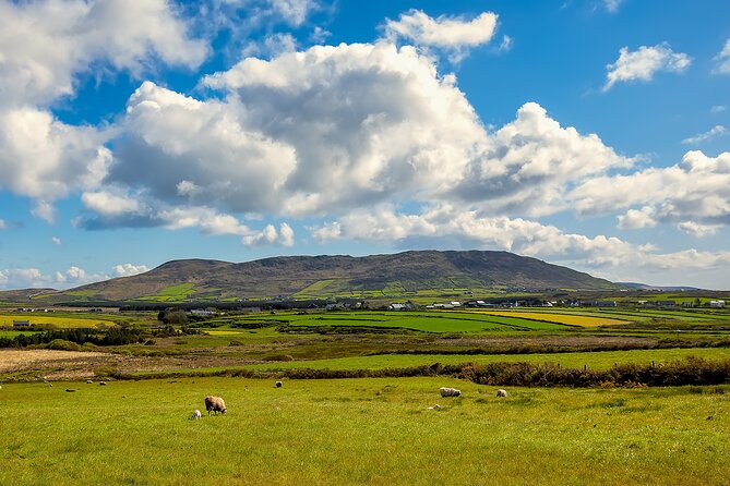 Personalized Full-Day Dingle Peninsula and Slea Head Drive Tour - Irish Famine Cottages: the hardest stop on the route, in the best way