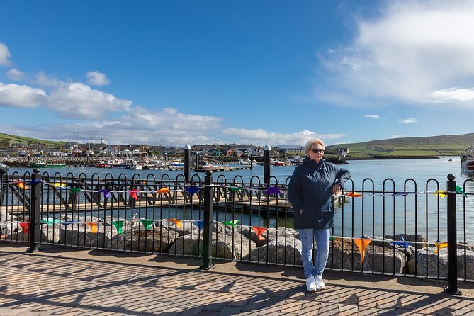 Personalized Full-Day Dingle Peninsula and Slea Head Drive Tour - Price and value: what $633.94 per group buys you (and what it does not)