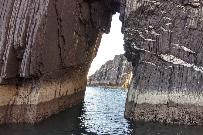 Private 1-Hour Guided Boat Tour in Dingle Peninsula - Key highlights to look for