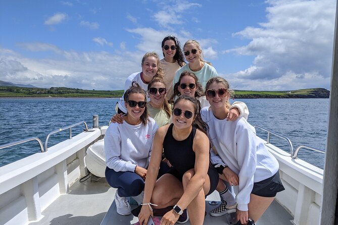 Private 1-Hour Guided Boat Tour in Dingle Peninsula - Who this private Dingle boat tour is best for