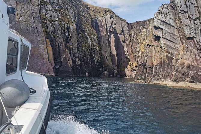 Private 1-Hour Guided Boat Tour in Dingle Peninsula - Should you book this Dingle Peninsula private boat tour?