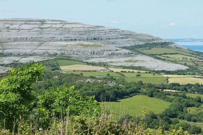 Private Burren and Cliffs of Moher Full Day Tour - Hazel Mountain Chocolates: the pause that keeps the day fun